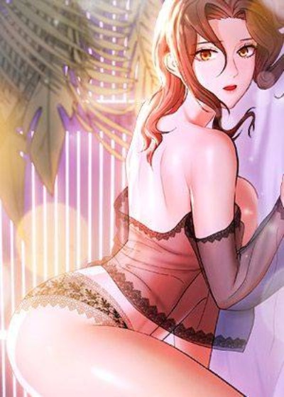 钢之炼金术师 封面